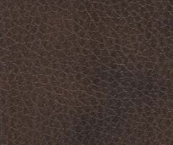 Brown_Leather