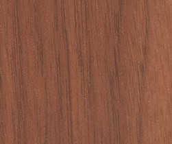 Golden_Walnut