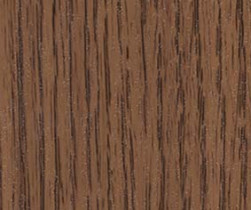 Northern_Oak