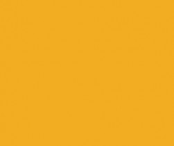 RAL1003_-
