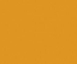RAL1006--