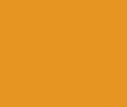 RAL1007_-