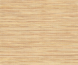 529